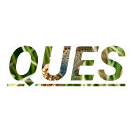 Ques